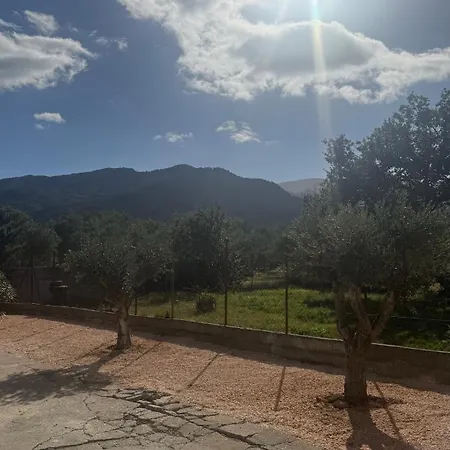فيلة Mas Al Raparou